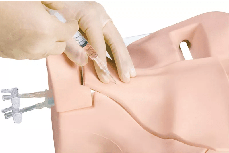 Zentralvenenkatheter - Punktionstrainer - Erler - Zimmer